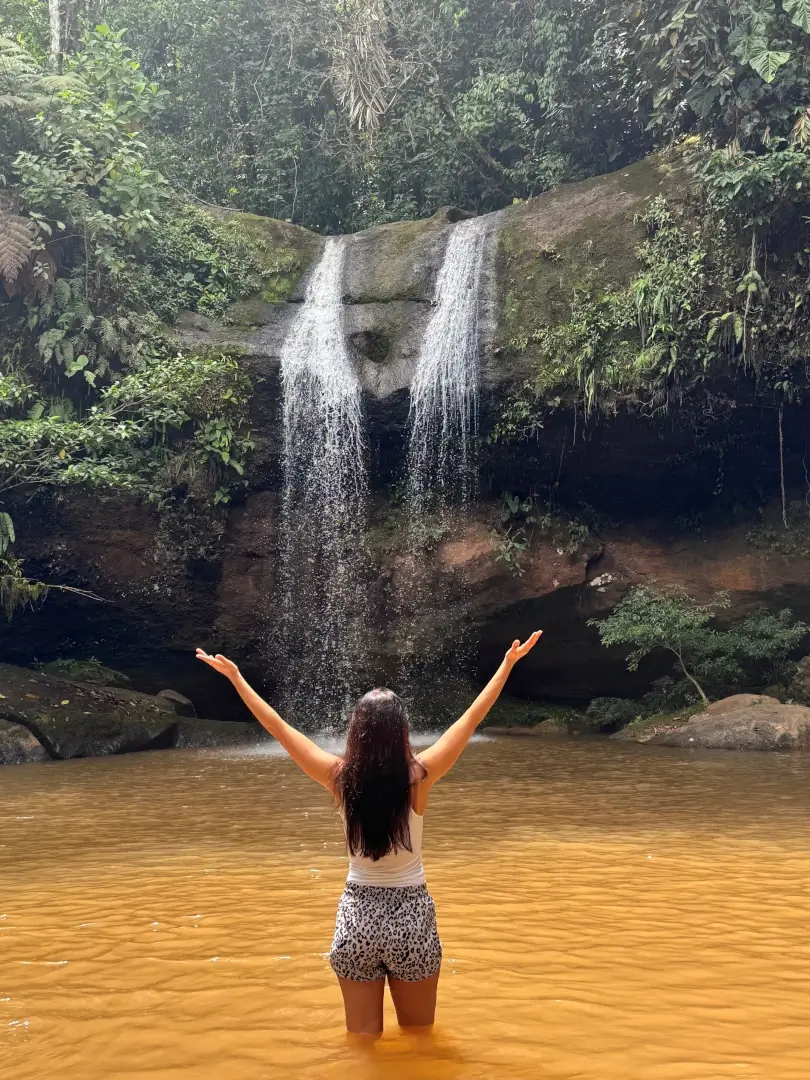 Our Jungle Trip